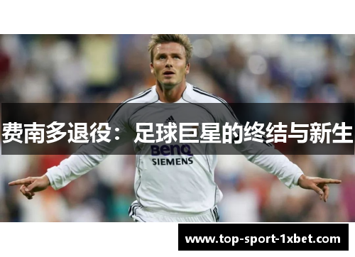 费南多退役：足球巨星的终结与新生